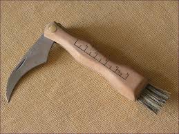 Pilzmesser mit klappbarer Klinge und Bürste zum sicheren Pilze bestimmen und sammeln