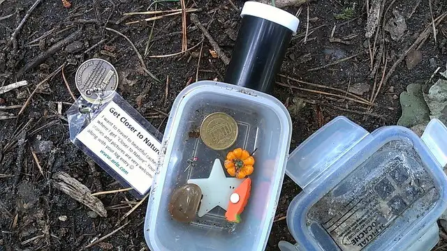 Gefundener Geocaching-Schatz mit Logbuch und kleinen Tauschgegenständen