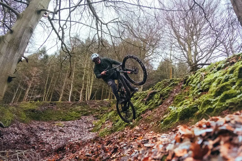 Mountainbike Trail am Feldberg im Schwarzwald, Deutschland