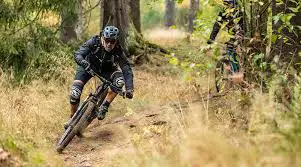 Mountainbike Trail im Harz, Deutschland, durch dichten Wald