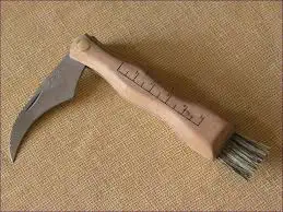 Pilzmesser zum pilze erkennen und sammeln in der natur