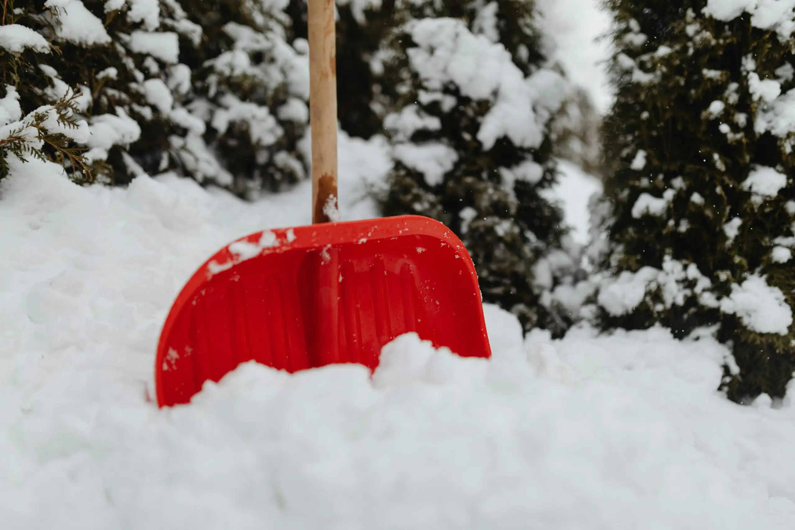 Wintercamping: rote Schneeschaufel steckt im Schnee
