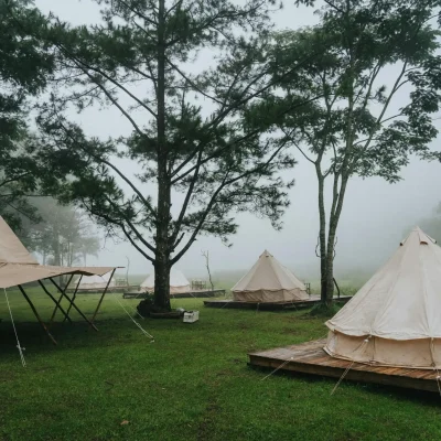 Wildcamping im Wald – Nebelstimmung bei weißen Zelten Wildcamping: Drei weiße Zelte im nebligen Wald